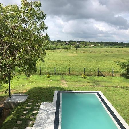 Tree Tops Yala Exterior foto